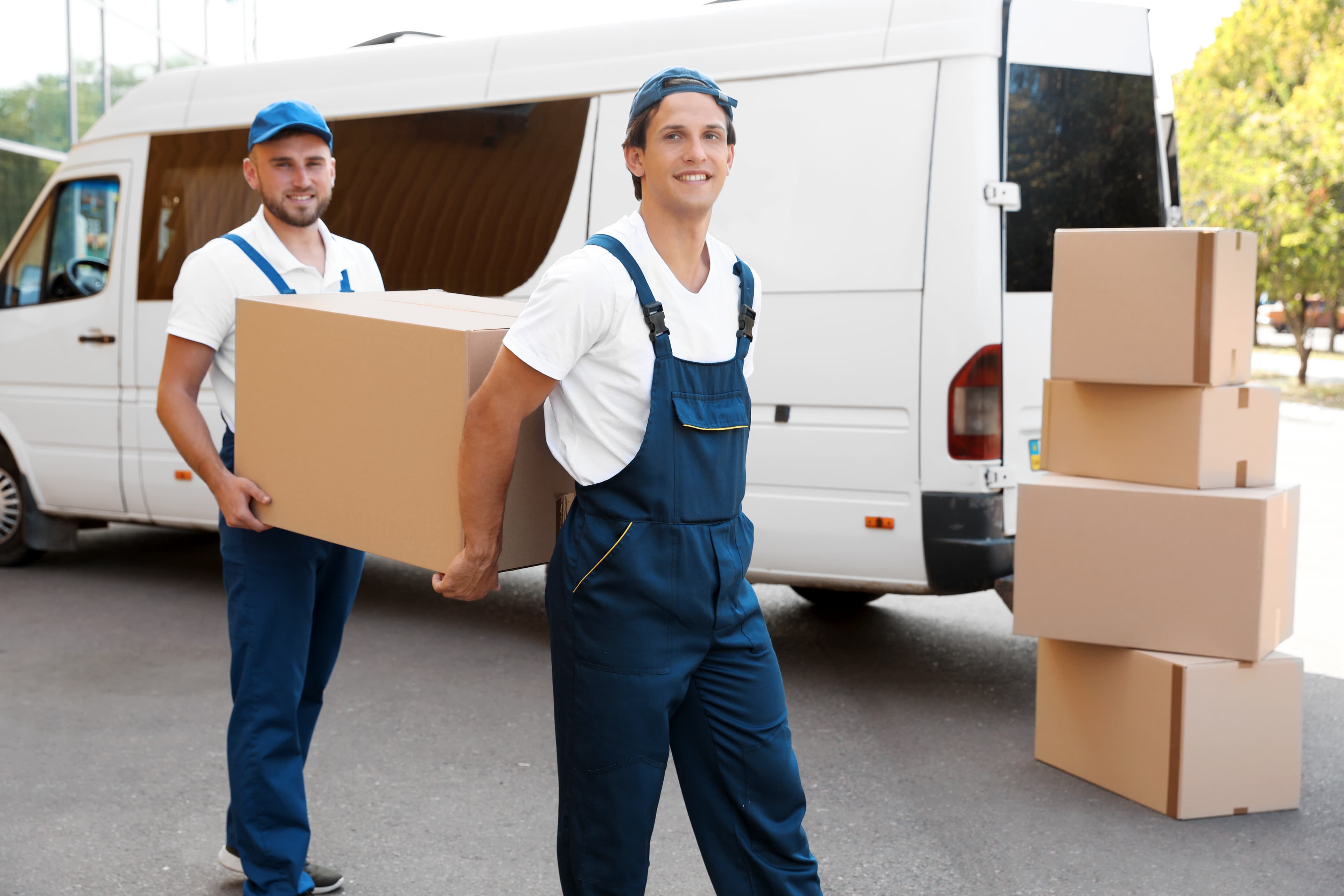 Labor crew unloading boxes from van in St. Petersburg FL